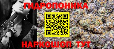 метадон Гусев