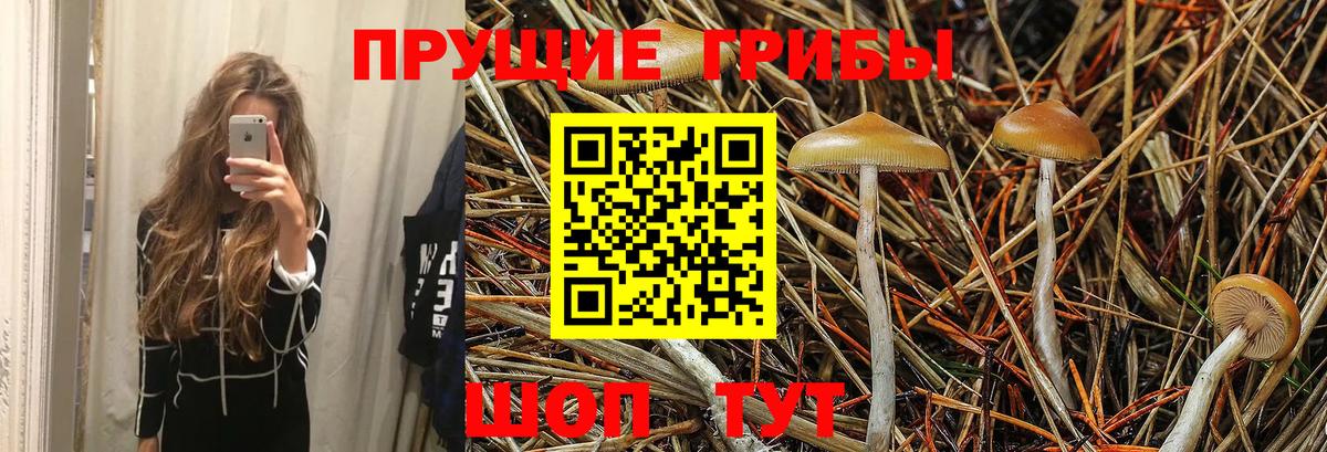 Лесной  Псилоцибиновые грибы MAGIC MUSHROOMS  Вход с VPN 