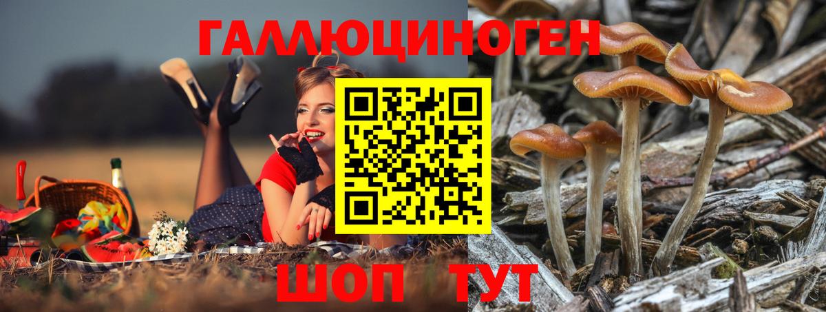 Галлюциногенные грибы мухоморы Лесной