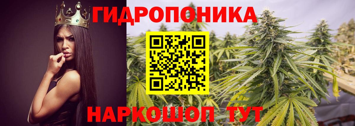 Бошки Шишки SATIVA & INDICA  Бошки Шишки Bruce Banner  Лесной  Вход с VPN  МАРИХУАНА семена 